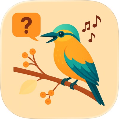 Chants d'Oiseaux Quiz Oiseaux